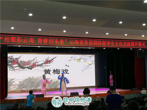 彩云之南搭橋梁 青春友誼譜新章——云南省首屆國際留學生文化交流周開幕