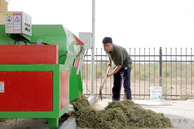 五團沙河鎮 發展畜牧養殖業 繪就增收新畫卷